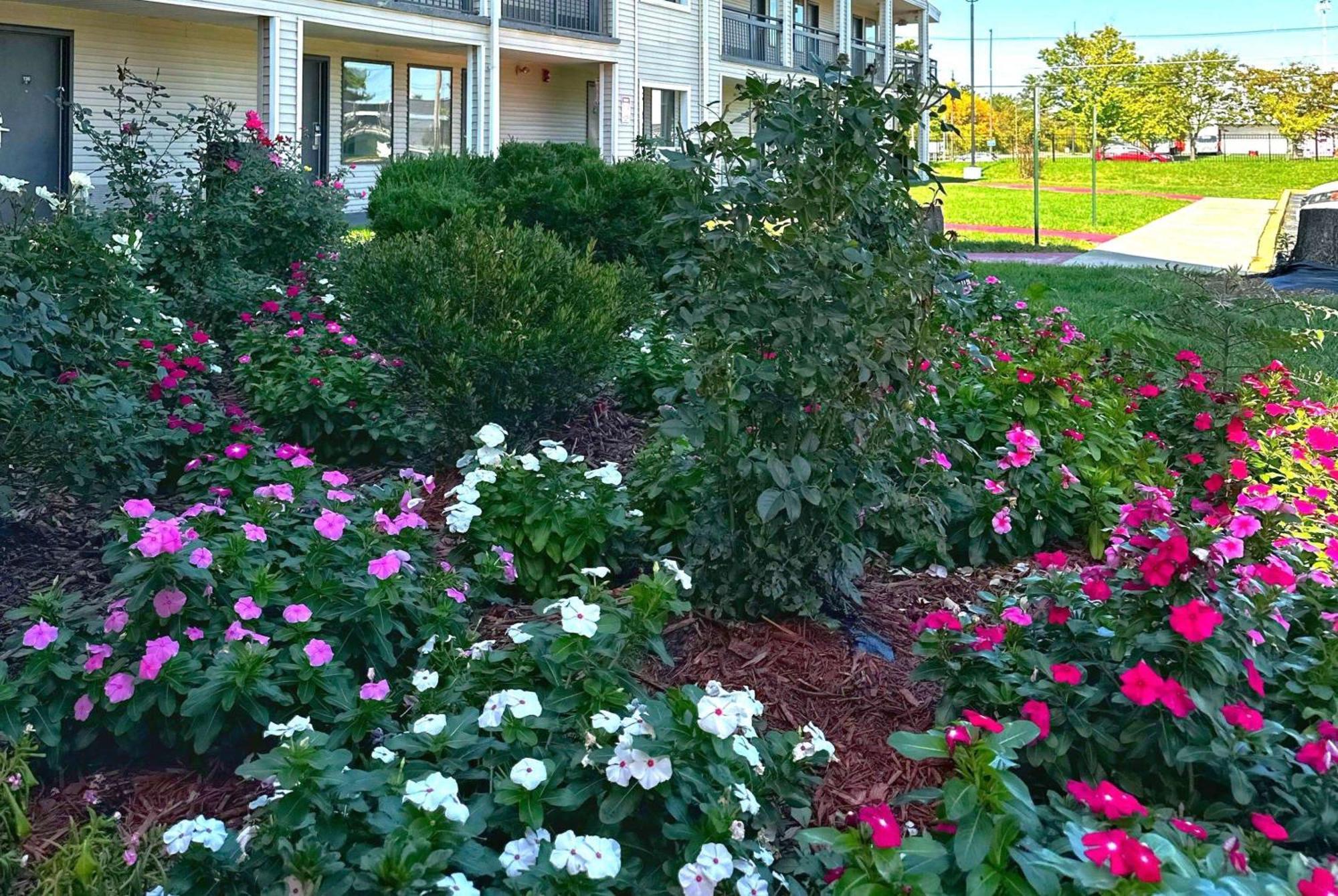 Baymont Inn And Suites By Wyndham Columbus / Near Osu מראה חיצוני תמונה