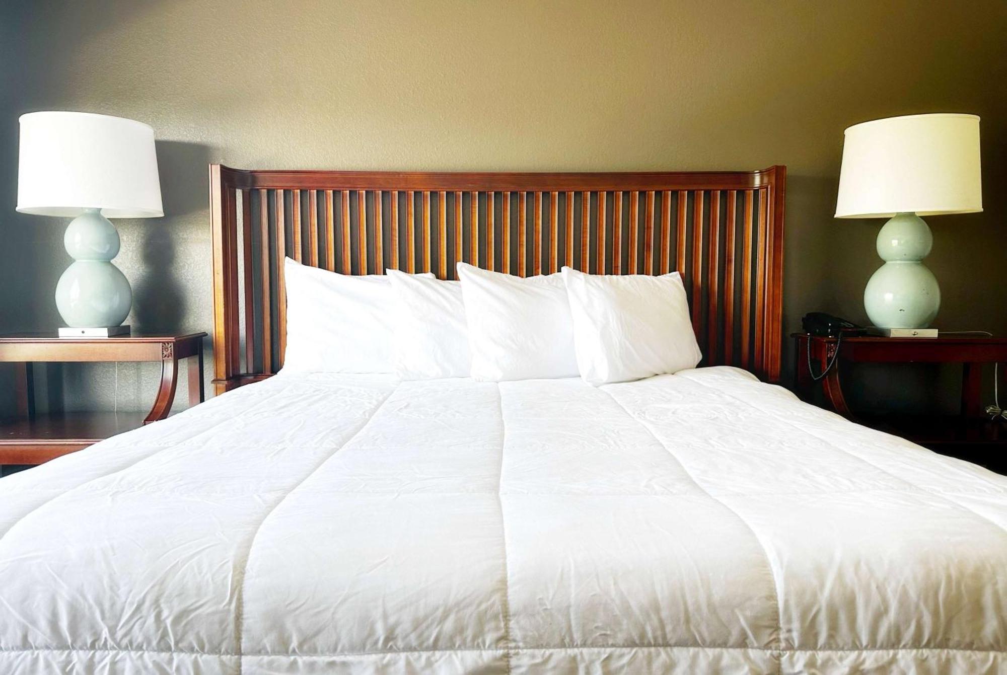 Baymont Inn And Suites By Wyndham Columbus / Near Osu מראה חיצוני תמונה